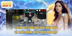 Cách Bắt Cầu Xóc Đĩa Hiệu Quả Và Thời Điểm Đặt Cược Phù Hợp