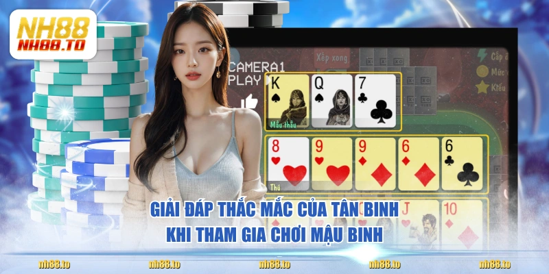 Giải đáp thắc mắc của tân binh khi tham gia chơi Mậu Binh