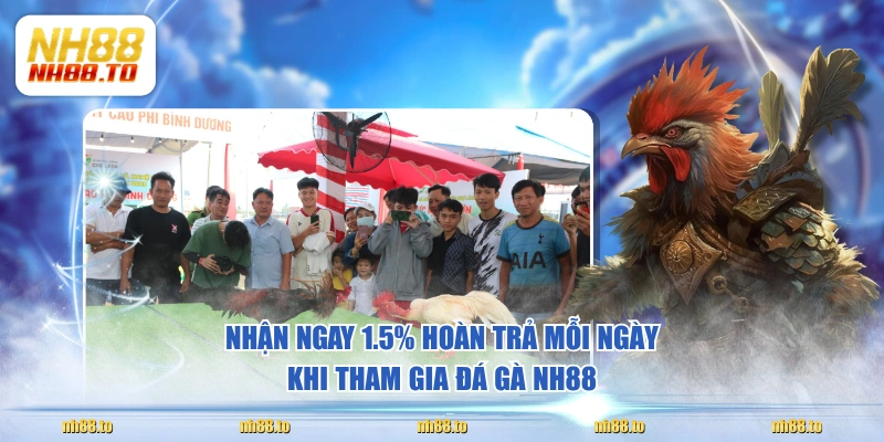Nhận ngay 1.5% hoàn trả mỗi ngày khi tham gia đá gà NH88 