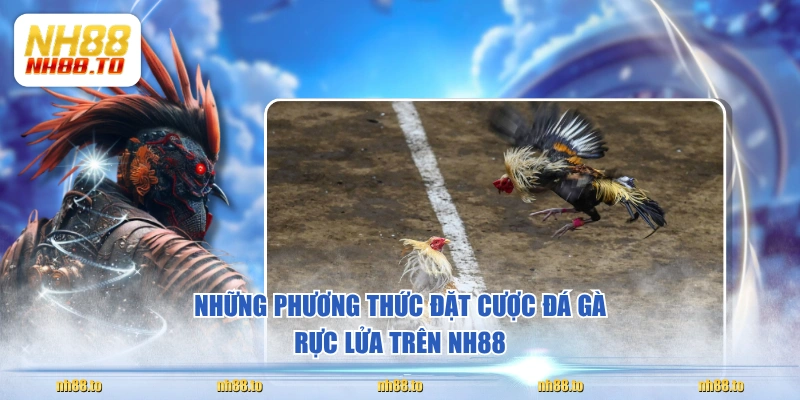 Những phương thức đặt cược đá gà rực lửa trên NH88 